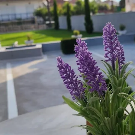 بيت للعطل Kariofilli's House *